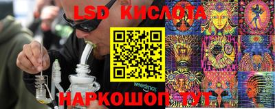 крисы Ливны
