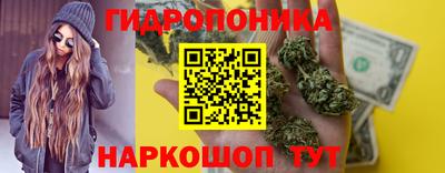 крисы Ливны