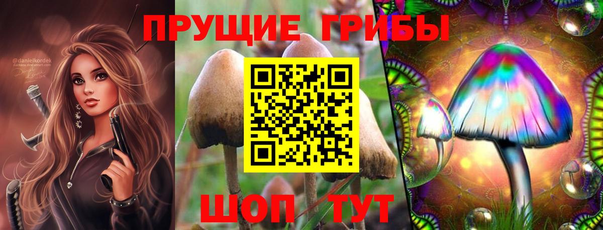 Чистополь  Псилоцибиновые грибы мицелий  Вход с VPN  даркнет сайт  Галлюциногенные грибы прущие грибы 